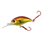 Duo Tetra Works KuraKura ASA0328 Red Gold Belly