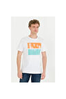 U.s. Polo Assn. Erkek Taş T-Shirt