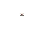 Opel Aveo Piston Segman STD 1.2 8 V