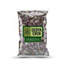 Ekinezya çiçeği (Echinacea Angustifolia) 100gr