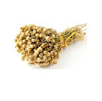 Üzerlik Otu Demet 1 Adet