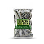 Zeytin Yaprağı İlk Hasat İlaçsız 100g