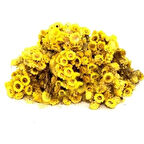 Altın Otu 25 Gr(Paket-Bitki) 1Adet