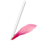 Apple iPad 11 inc 4 Nesil Kablosuz Şarj Olabilen Eğime Duyarlı Avuç İçi Reddetme Özellikli (2. Nesil) Kalem 