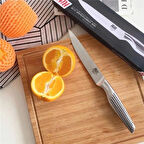 Airstorr HİTT 2-adet Almazan Şef Bıçağı , Keskin Paslanmaz Çelik Kamp Bıçağı Mutfak Bıçağı