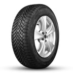 225/45R17 91V Snow Hill 3
