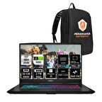 MSI Katana 17 HX i9-14900HX 32GB 2TB SSD RTX5060/8GB 17.3'' 2K QHD 240Hz W11P Gaming Laptop B14WFK