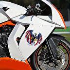 19 Cm Kartal Sticker Resmi 1 Adet Motorsiklet Araba İçin uygun