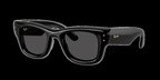 Ray-Ban RB4940 601/87 47 AAP ROCKY Unisex Güneş Gözlüğü