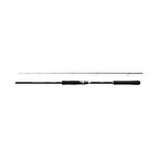 Rod Salty Advance Spinning SeaBass2,90m 9'6''6-32g