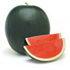 Çok Lezzetli Fenway F1 Çekirdeksiz Siyah Karpuz Tohumu (5 adet)