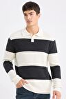 DeFacto Standart Fit Polo Yaka Çizgili Triko Kazak D3590AX24WNER139