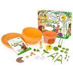 Lilypad Peri Saksı Seti