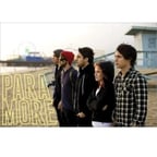 Maxi Poster - Paramore Beach