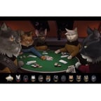 Maxi Poster Star Trek Cats (Poker)