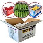 50x70 KASA TORBASI, 500 ADET EFOR KÖRÜKLÜ KOLİ TORBASI, SALATALIK PATLICAN MEYVE SEBZE KORUMA TORBASI, KASA POŞETİ, EKMEK KASASI POŞETİ