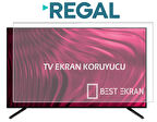 Regal 40T01900 Tv Ekran Koruyucu - Regal 40" inç ekran Koruma Paneli
