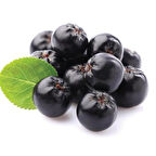 1-2 Yaş Arası Tüplü Aronya (Aronia melanocarpa) Meyve Fidanı - Sağlık Dolu Siyah Meyveler