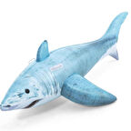 Gerçek Köpekbalığı Hayvan Binici