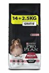 Pro Plan Adult Sensitive Somonlu Hassas Yetişkin Köpek Mamasi 16,5 Kg