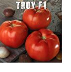 1000 adet Hibrit F1 Troy Sofralık Oturak Domates Tohumu....