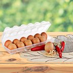 12'li Şeffaf Kapaklı Kilitli Yumurta Saklama Kabı Kutusu Aparatı (5492)