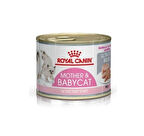 Royal Canin Mother Babycat Konserve 195 Gr