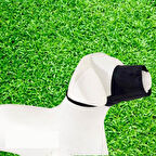 S Beden Bez Köpek Ağızlığı