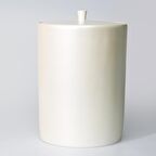 Victoria Çöp Kovası İnci