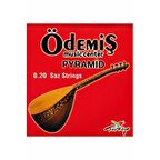 ÖDEMİŞ UZUN SAP BAĞLAMA TELİ 020