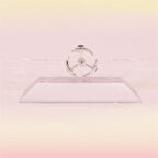 Buffer® Dekoratif Masa Üstü Obje Manyetik Kinetik Orbital Dönen Yunuslar