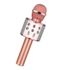 Bluetooth Karaoke Mikrofon (5673)