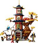 71795 LEGO® NINJAGO Ejderha Enerji Küreleri Tapınağı