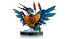LEGO Icons 10331 Kingfisher Bird