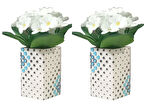 2 ADET VAZO DAHİL,VAZODA ÇİÇEK,BEYAZ YAPAY ÇİÇEK,VAZO DEKORATİF  PUANLI POLİRESİN 6X6X15CM