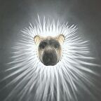 Büyük Aslan Duvar Lambası