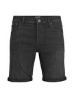 JJIRICK JJIORIGINAL SHORTS AM 461 50SPS