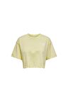 Only Kadın Renkli Crop T-Shirt - 15260935