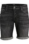 JACK&JONES JJIRICK JJFOX SHORTS GE 245 