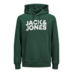 Jack & Jones Erkek Kapşonlu Sweatshirt 12152840