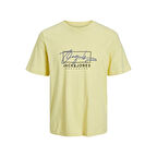 Jack & Jones ERKEK Günlük T-Shirt 12235487