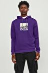 JACK&JONES JCOLOGAN SWEAT HOOD AW23 MOR