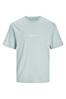 Jack & Jones Erkek T Shirt 12240121