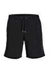 Jack & Jones Erkek Şort 12248831