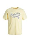 Jack & Jones Baskılı Sarı Erkek Genç  T-Shirt JJELOGO TEE SS NECK 2 COL 23/24 NOO