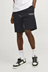 Jack & Jones Erkek Short 12252251
