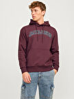 Jack & Jones Jjecaleb Varsity Erkek Sweatshirt