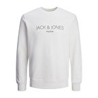 Jack & Jones Erkek Bisiklet Yaka Sweatshirt 12261873
