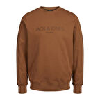 Jack & Jones Erkek Bisiklet Yaka Sweatshirt 12261873
