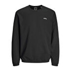Jack & Jones Erkek Bisiklet Yaka Sweatshirt 12261364